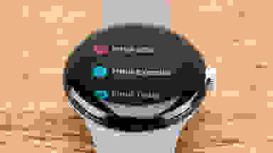 A Google Pixel Watch with its Fitbit menu showing on its display