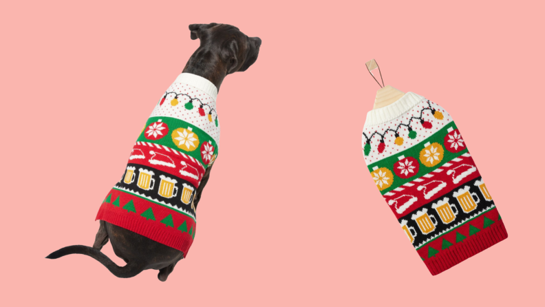 Dog wearing an ugly Christmas sweater.