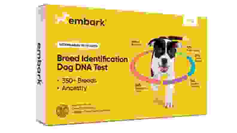 An Embark genealogy test