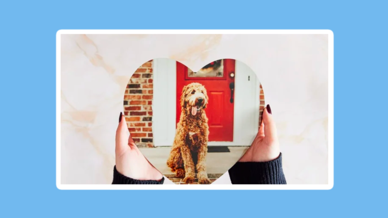 heart photo print of dog