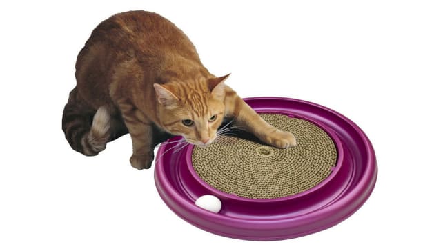 Cat scratcher toy