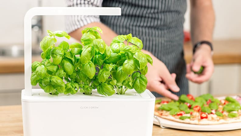 Click-and-Grow Self Watering Planter