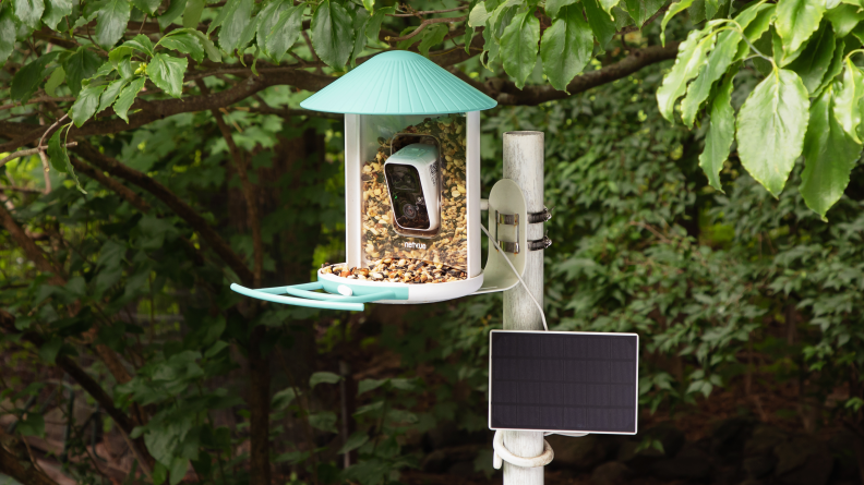 A Netvue Birdfy bird feeder with an aqua roof sits on white pole.