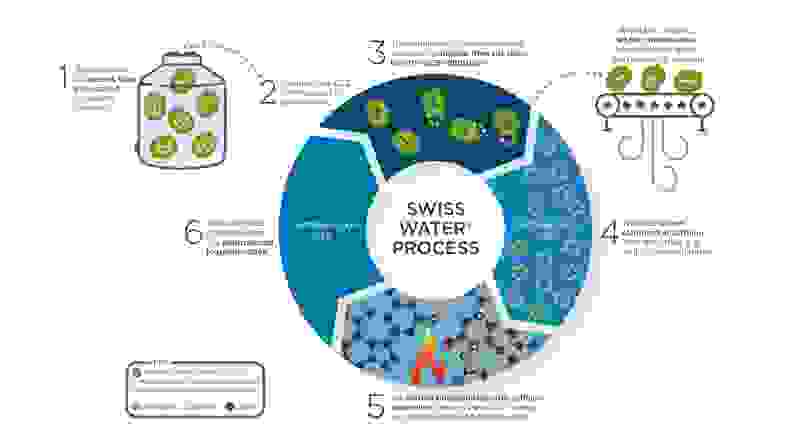 An illustrated infographic demonstrating how coffee beans become decaffeinated through the Swiss Water Process.