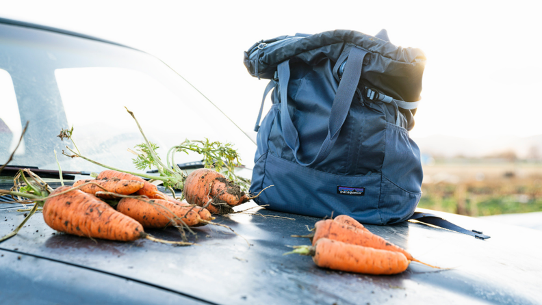 Patagonia backpack and carrota