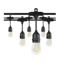 Product image of Honeywell 48-Foot Plug-in Black Indoor/Outdoor String Light with 15 White-Light LED Edison Bulbs