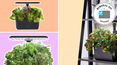 A collage of AeroGarden indoor hydroponic systems on a colorful background.