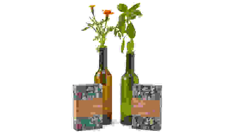 Best Secret Santa Gifts Under $30 of 2019: Wine Bottle Stopper Garden Kit