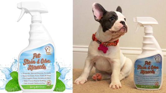Products every dog mom needs