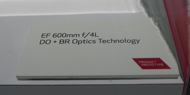 Canon 600mm f/4L DO BR Optics