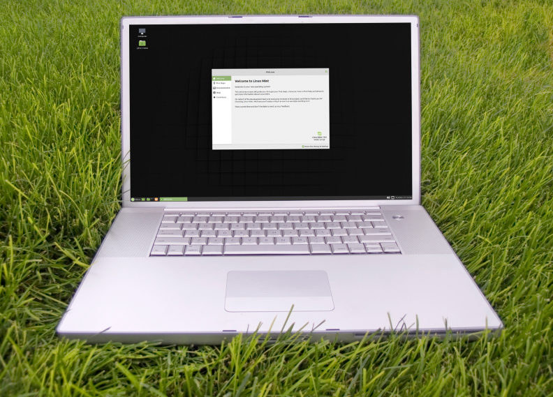 laptop in the grass