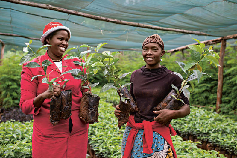 Coffee farmers