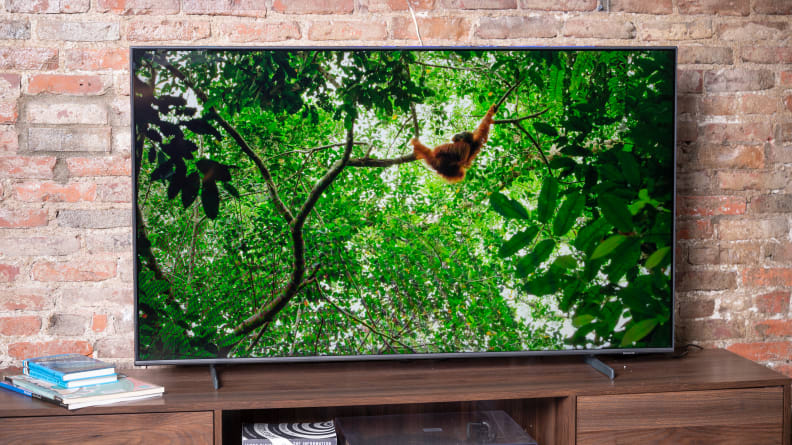 The Samsung Q60B displaying 4K/HDR content in a living room setting