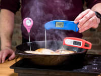 How To Use A Meat Thermometer - Chatelaine