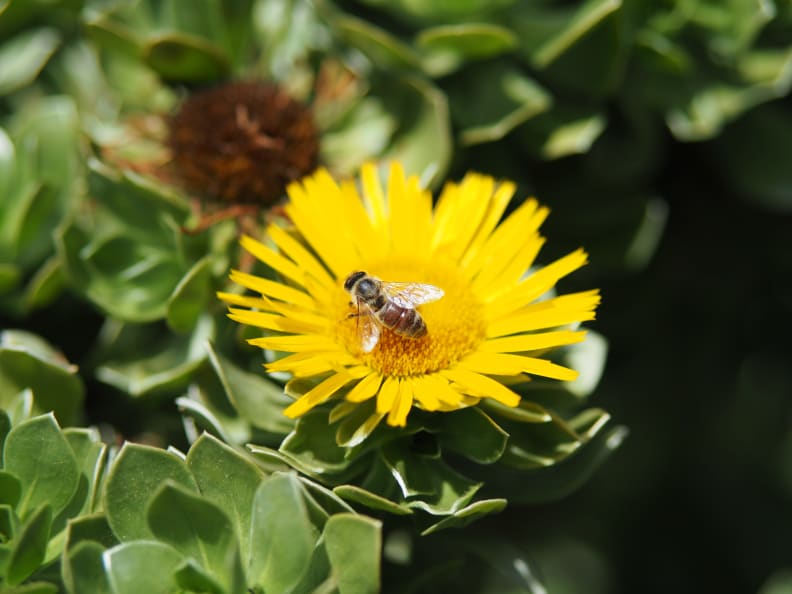 EXIF: 42.5mm, ISO 200, 1/5000, f/1.7