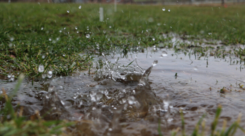 Rain pours down on a grassy area with standing water.