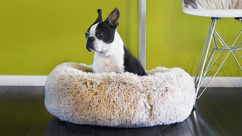 My pets love curling up in this fuzzy bed, and yours will, too!