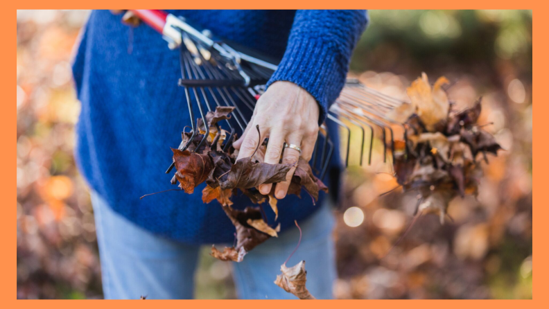 Raking leaves