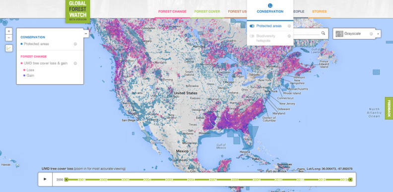 Global Forest Watch