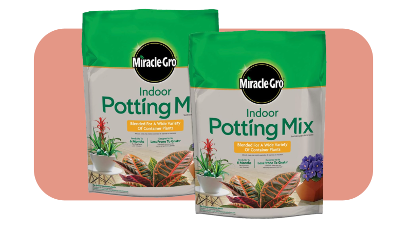 Two bags of Miracle-Gro indoor potting soil side by side in front of pink background.