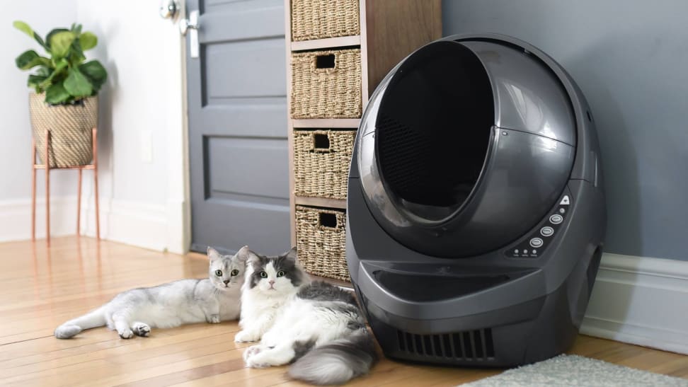 Bevægelig melodi mave Litter Robot Connect Review: A smart, automated cat litter box - Reviewed