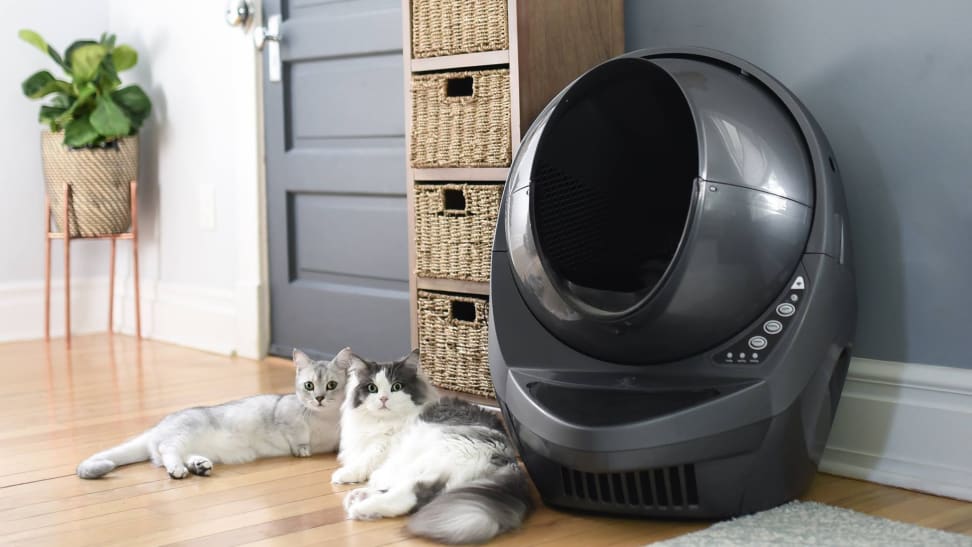 used litter robot 3