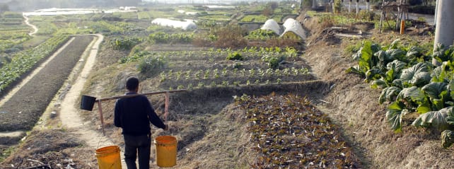 chinese-farm-hero.jpg