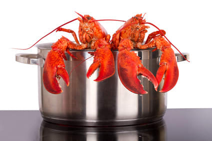 Fotolia_38105198_XS.jpg