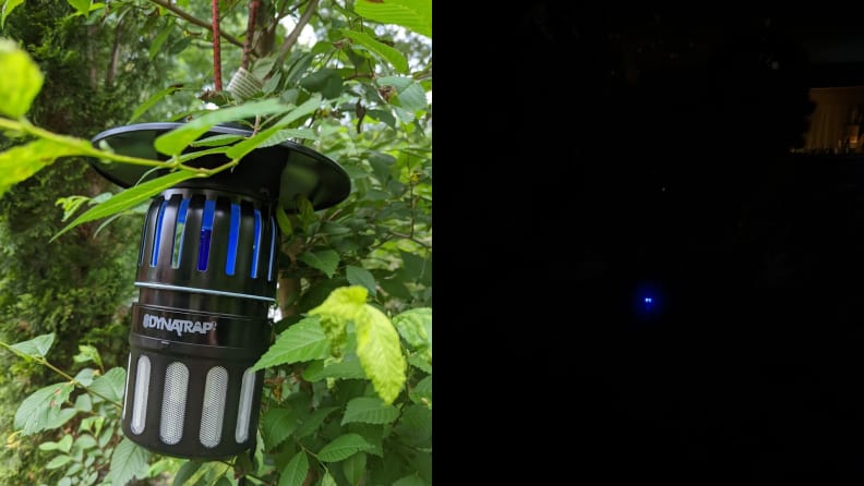 On the left, bug zapper hanging from a tree.  On the right, blue light in the darkness of the bug zapper.