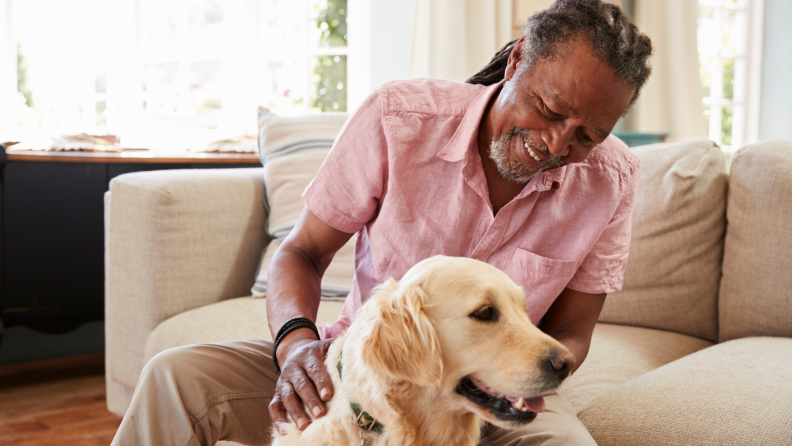 Person smiling while petting golden retriever dog.