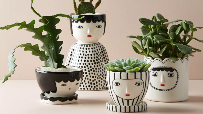 black and white planters