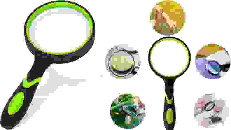 On left, black and green magnifying glass. On right, green and black magnifying glass surrounded by 5 images.