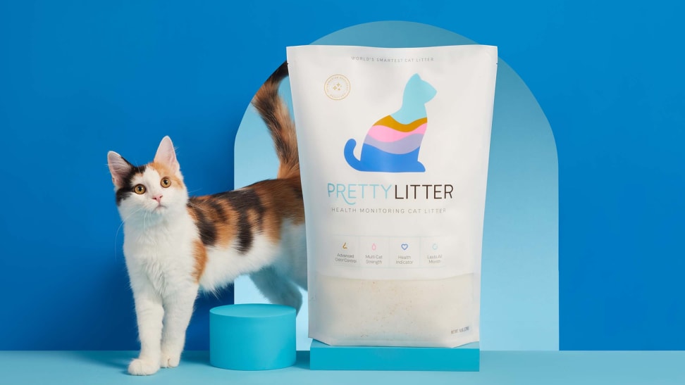 This litter claims to help monitor your cat's health, but it costs a pretty penny.