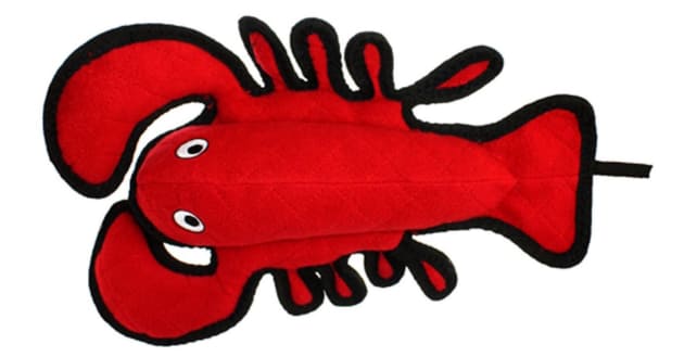 lobster