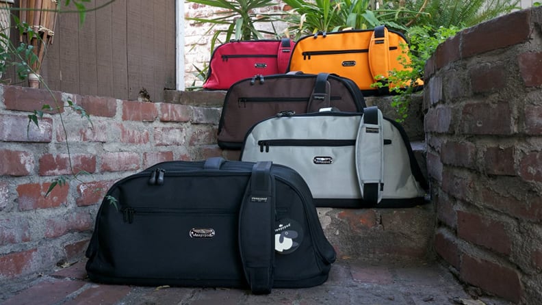 An image of several cat carriers in different colors.