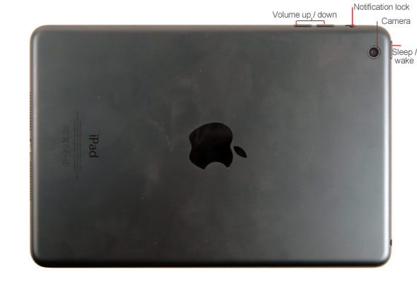 Back Image