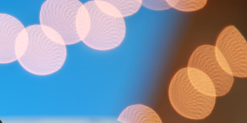 A crop of an image with bokeh shot by the Canon 24-70 f/2.8.