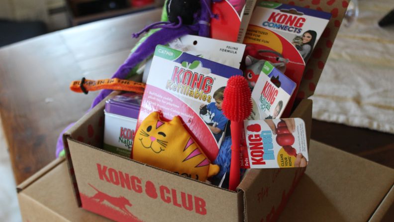 Kong Club box with toys