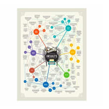 Product image of Literary Insults Chart