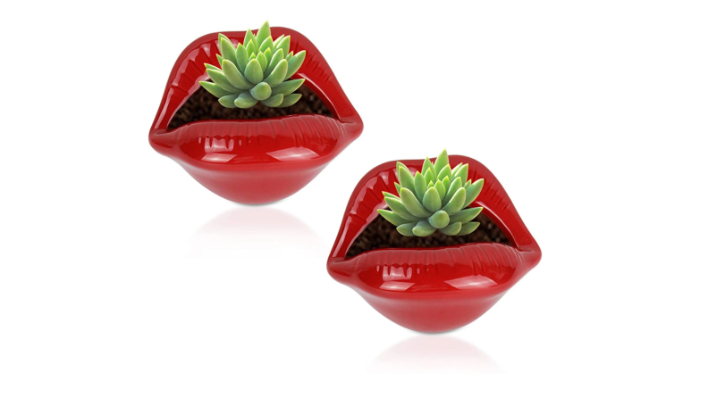 A pair of ceramic red lips house succulents.