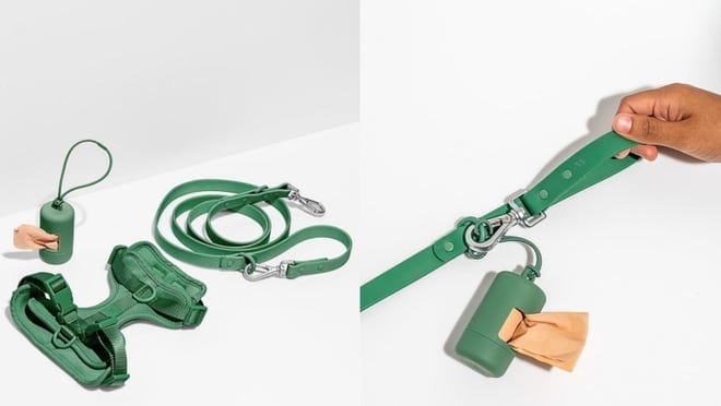 green harness on white/grey background