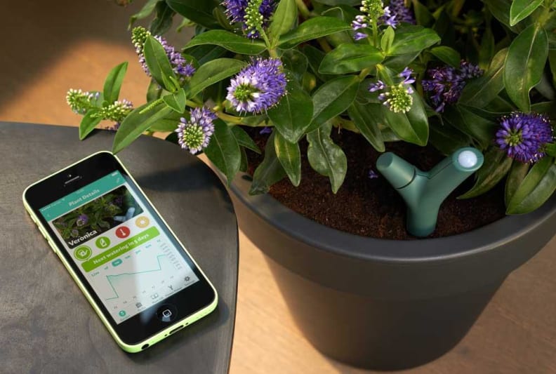 Parrot Flower Power Plant Sensor