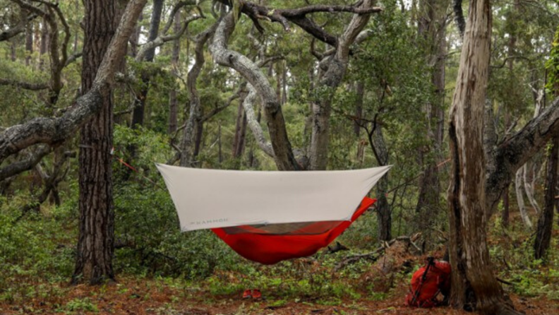 Kammok hammock connected to two trees with a canopy.