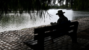 A person in a hat reads a book at the Regatas Lake in Buenos Aires.