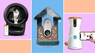 Three smart pet products on colorful background.