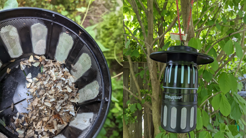 On left, dead insects inside of the DynaTrap insect trap. On right, the DynaTrap insect trap hanging on tree.