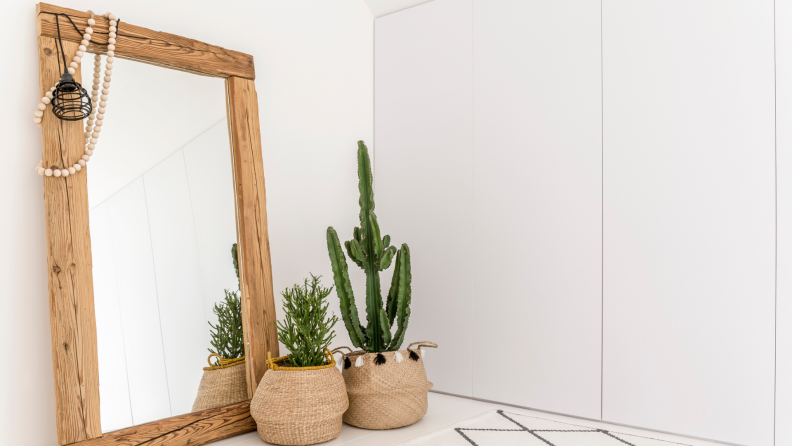 Large floor mirror with cacti