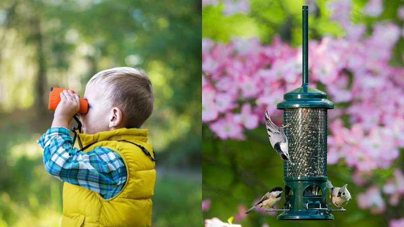 On left, young boy with binoculars searching for birds. On right, three birds perched on bird feeder eating.