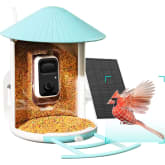 Bird Buddy: a cool bird feeding device with so many advantages – AHR