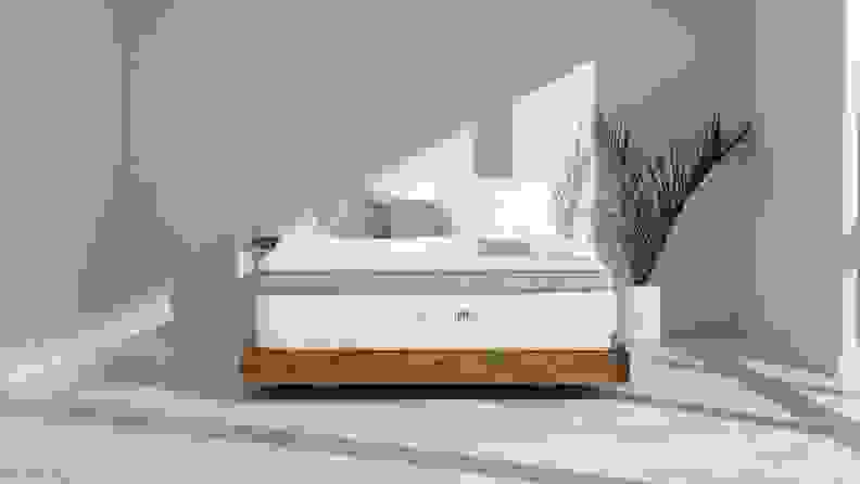 A Saatva mattress on a bed frame.